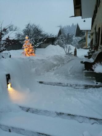 Wintereinbruch vor dem Haus