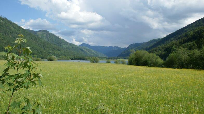 Hintersee