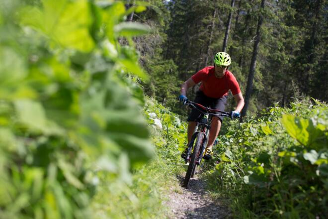 Bike Spaß ohne Ende - Der BaySF Mtb Trail 
