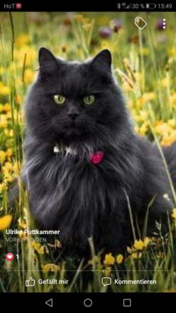 Screenshot_20200523-154957