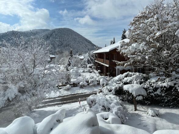 Winter am Schliersee