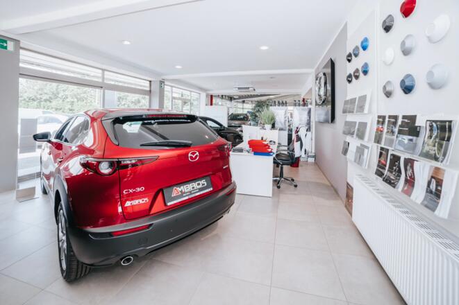 Ambros Automobile GmbH