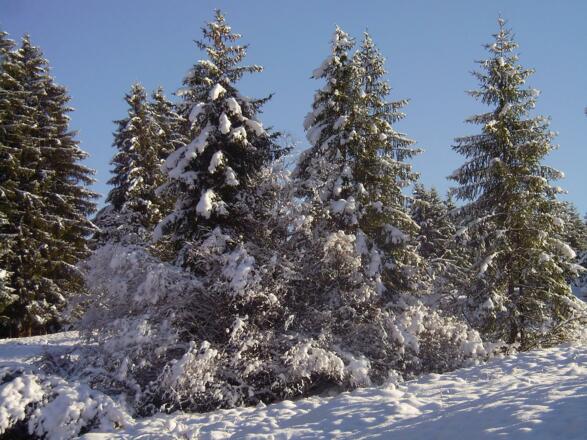 Winter 3