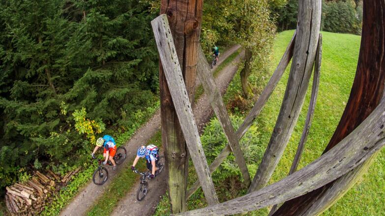 Waldrand Hochstand