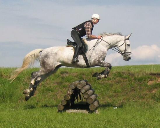 Springen