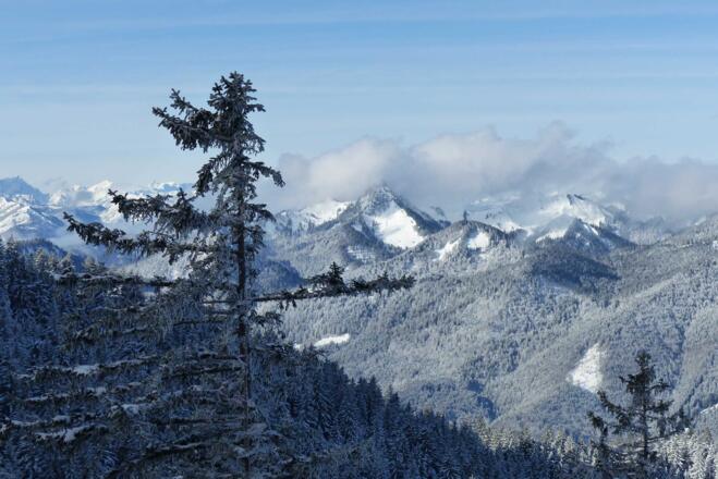 Winterpanorama