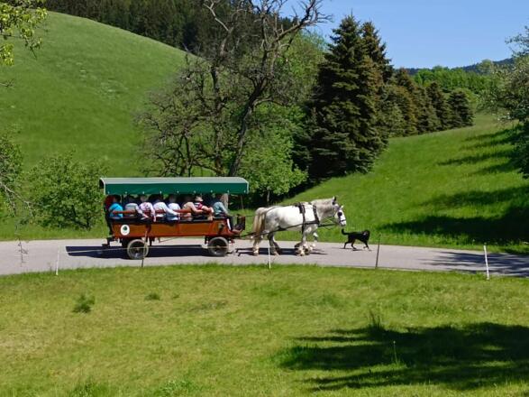 Planwagen-Kutschenfahrt