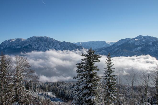 Aussichtplattform TVB Attersee-Attergau
