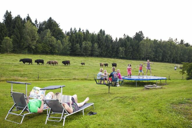 Paradies für Kinder und Eltern