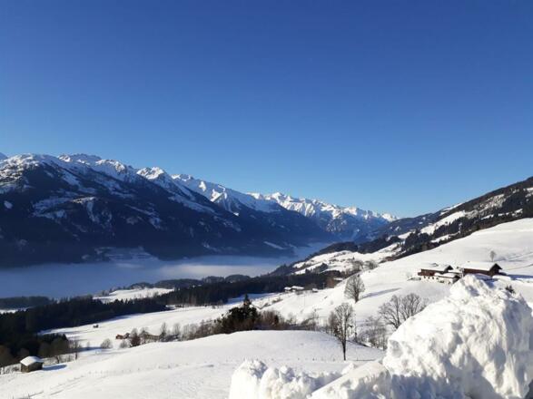 Ausblick
