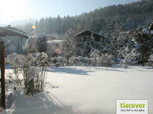 Garten im Winter 3
