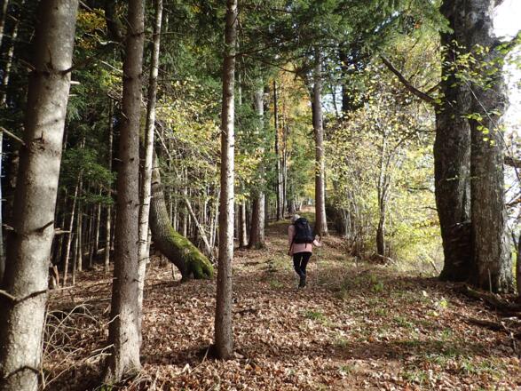Weglos auf den höchsten Punkt