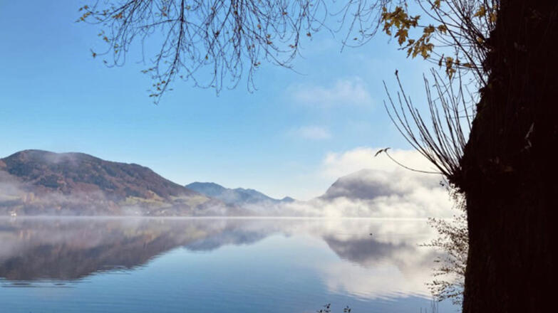 Mondsee