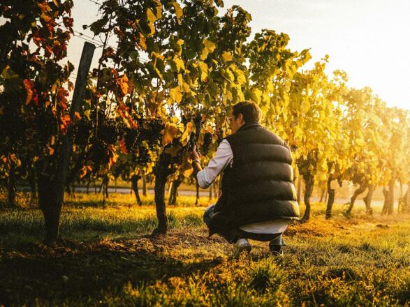 Austria Gourmet & Wine Hotel