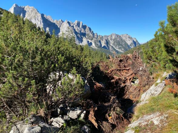 Dachstein