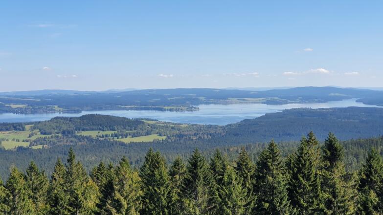 WeitblickAussichtsturmMoldaublickSchoenebenUlrichsberg_FerienregionBoehmerwaldFelhofer.jpg