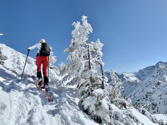Schwarzwassertal - freier Skiraum