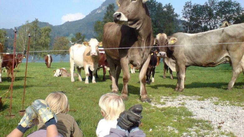 ferienwohnungen_haus_wesenau_fuschl_am_see_27j4y