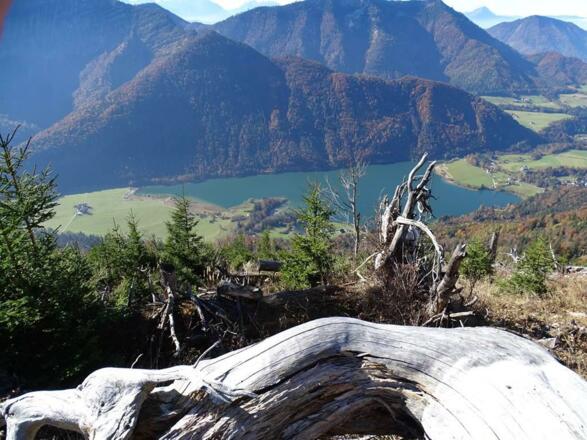 Aussicht auf den Fuschlsee