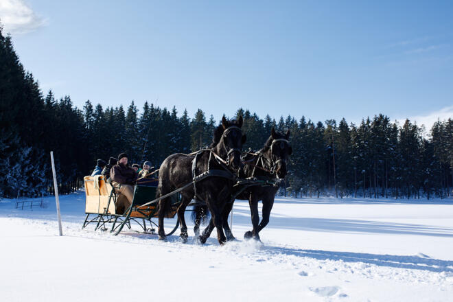 Pferdeschlitten-Reingruber-11-11-59-2