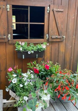 Blumen