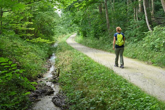 Waldweg zum Klosterareal Fürstenfeld