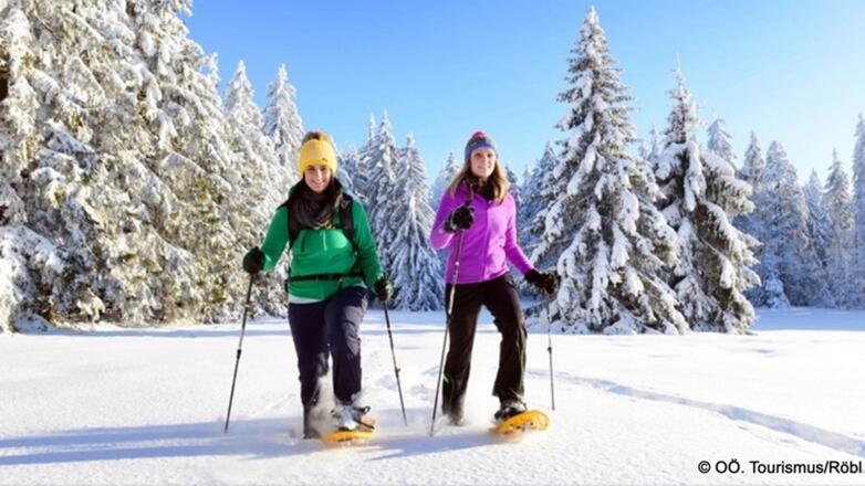 Schneeschuhwanderung