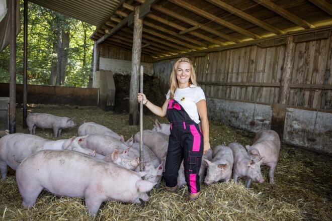 Stallarbeit beim Wirschenbauer