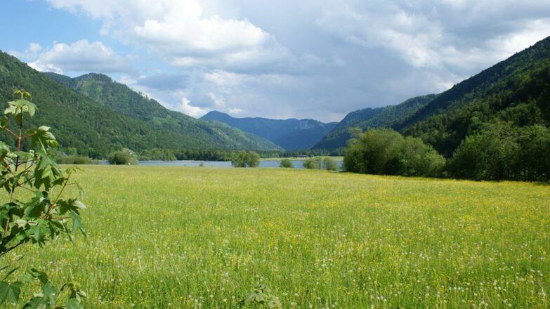 Faistenau am Hintersee