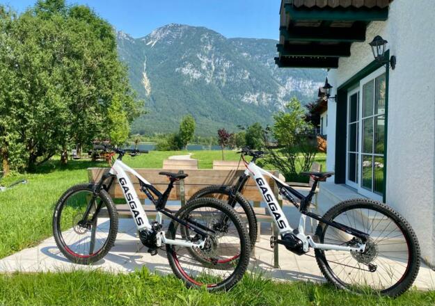 Unternehmen Sie E-Bike-Touren im Salzkammergut