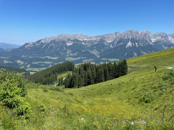 Wenige Meter unter dem Hartkaser mit Blick auf die Felsberge des Wilden Kaiser.