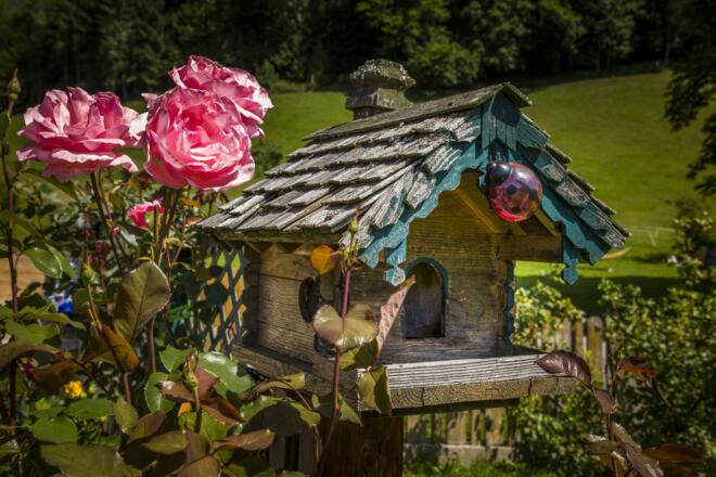 20190809_AmFerienbauernhofAussen_042_klein