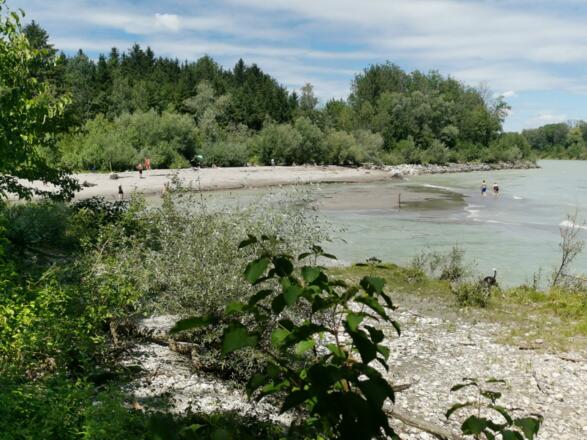 Sandbank am Inn in der Umgebung des Ferienhauses "Im Inntal dahoam"