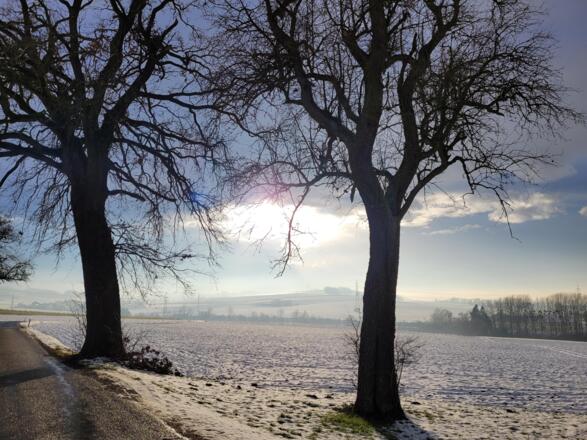 Baumgartnergut Aussicht