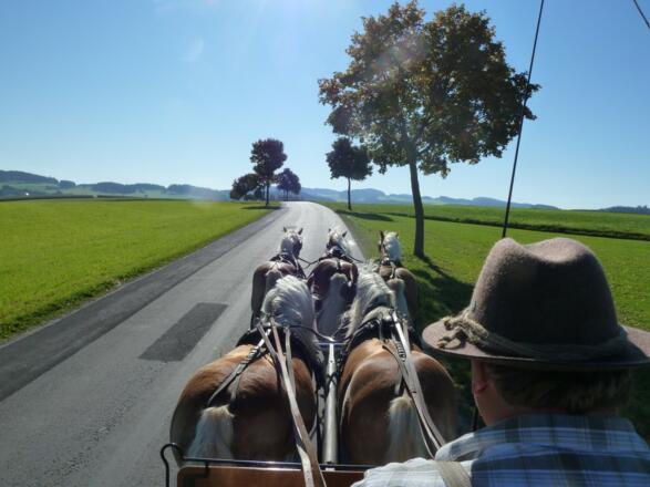 Mit dem Sterngartl Kutscher durchs schöne Mühlviertel