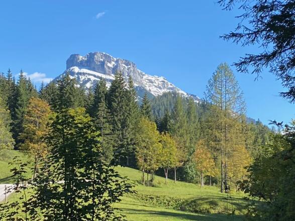 Herbstlicher Loser