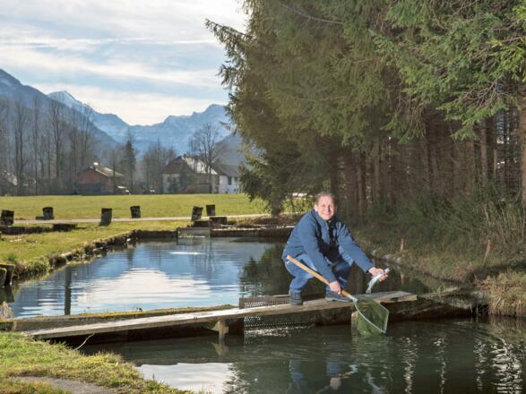 Fische aus eigenem Weiher
