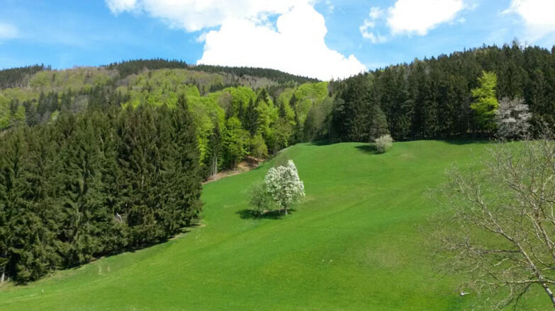 Landschaft