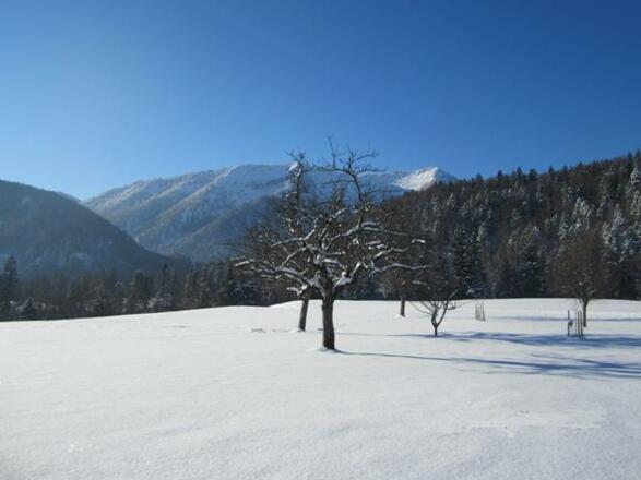Winterlandschaft - Blick von Ferienwohnung