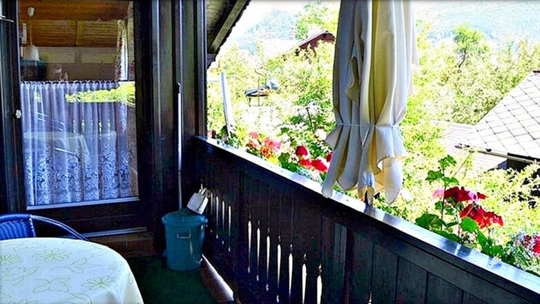 Schwäne vor Gmunden