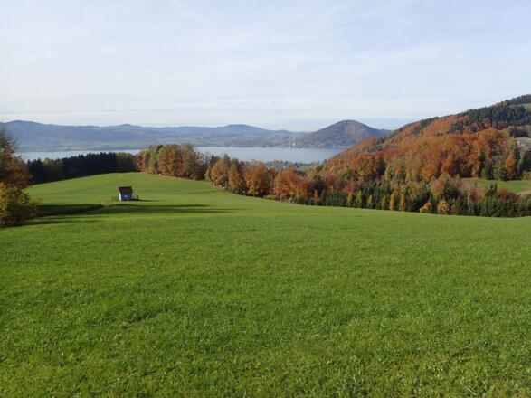 Steter Blick auf den Attersee
