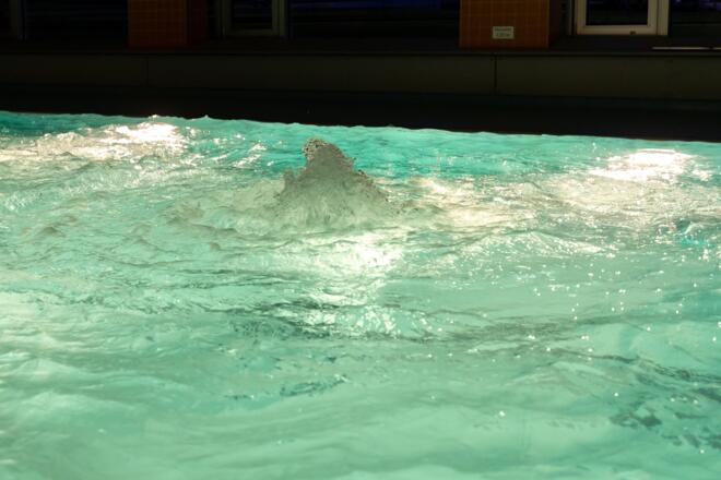 Hallenbad_Sauna_Sandl