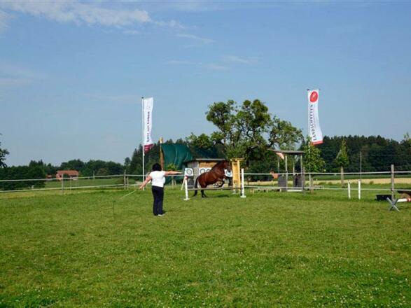 Lust am Leben Outdoor Adventure Lernen mit Pferden