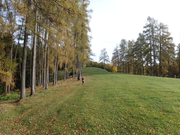 Lärchenrücken zum Gahberg