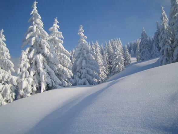 Winterlandschaft - Genuss pur