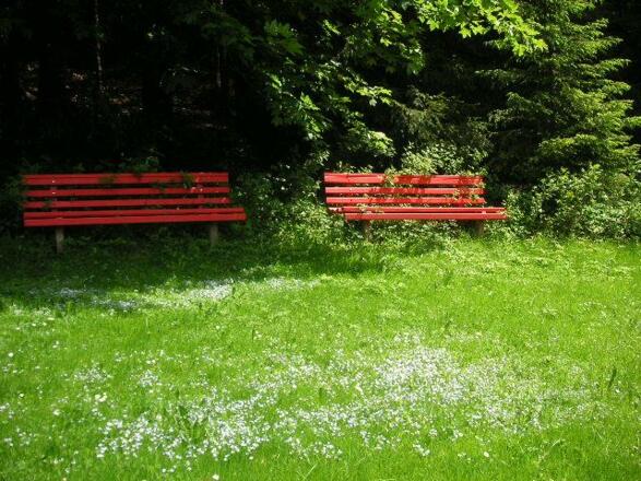 Spielwiese mit Gartenbänken