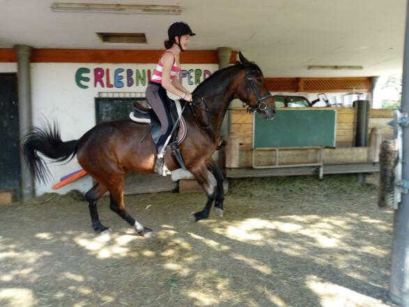 Lena und `Happy` im Einsatz