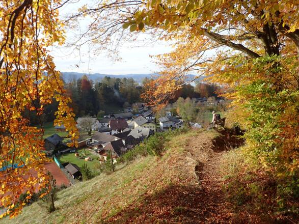Rast am "Horn" oberhalb des Ortsteiles Bach