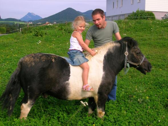 Pony.JPG