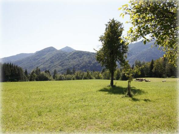 Fotogalerie Sommer - Burgi Ebner